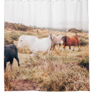 PONY HERD IN THE AUTUMN SHOWER CURTAIN