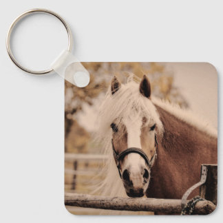 pony horsey key ring