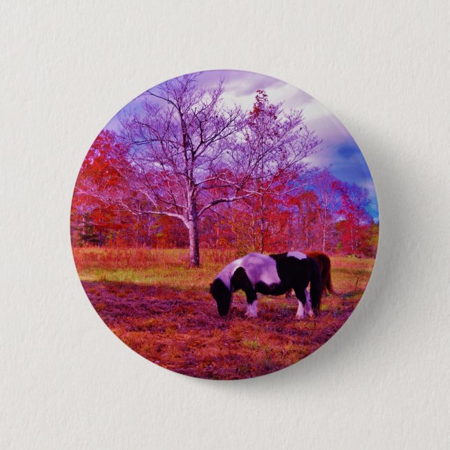 PONY IN A RAINBOW  coloured field 6 Cm Round Badge (Front)