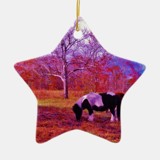 PONY IN A RAINBOW  coloured field Ceramic Tree Decoration (Front)