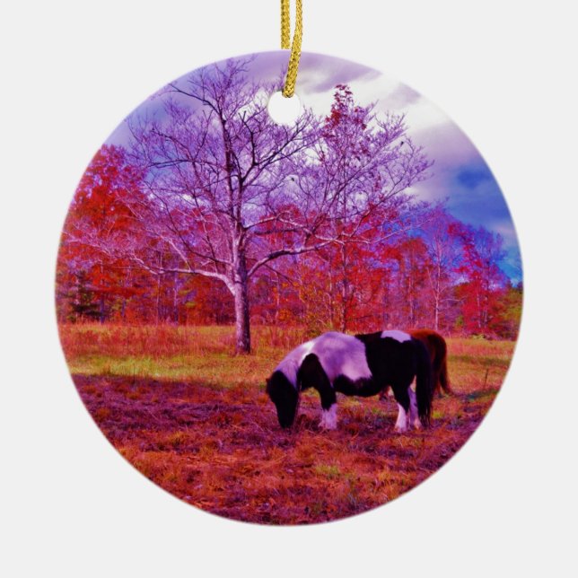 PONY IN A RAINBOW  coloured field Ceramic Tree Decoration (Front)