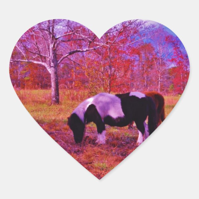 PONY IN A RAINBOW  coloured field Heart Sticker (Front)