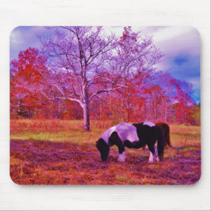 PONY IN A RAINBOW  coloured field Mouse Pad
