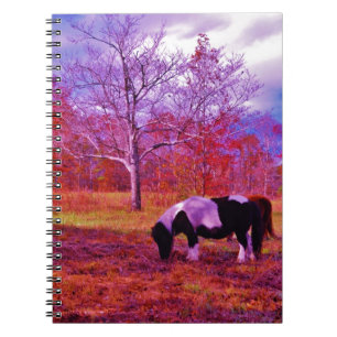 PONY IN A RAINBOW coloured field Spiral Notebook