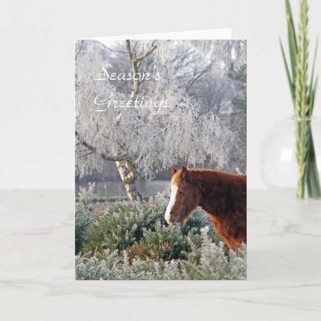 Pony in frost Christmas card (Front)