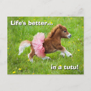 Pony in Tutu Invitation Postcard