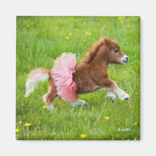 Pony in Tutu Magnet