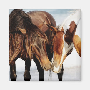 Pony Love Magnet