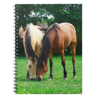 Pony Love Notebook