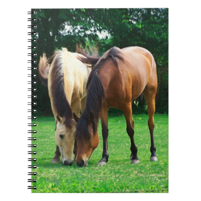Pony Love Notebook (Front)