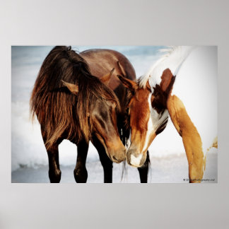 Pony Love Poster