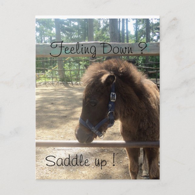pony profile postcard (Front)