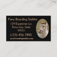 Pony Sample1