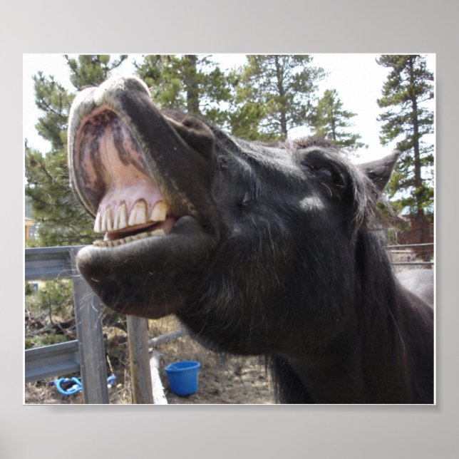 Pony Talk Poster (Front)