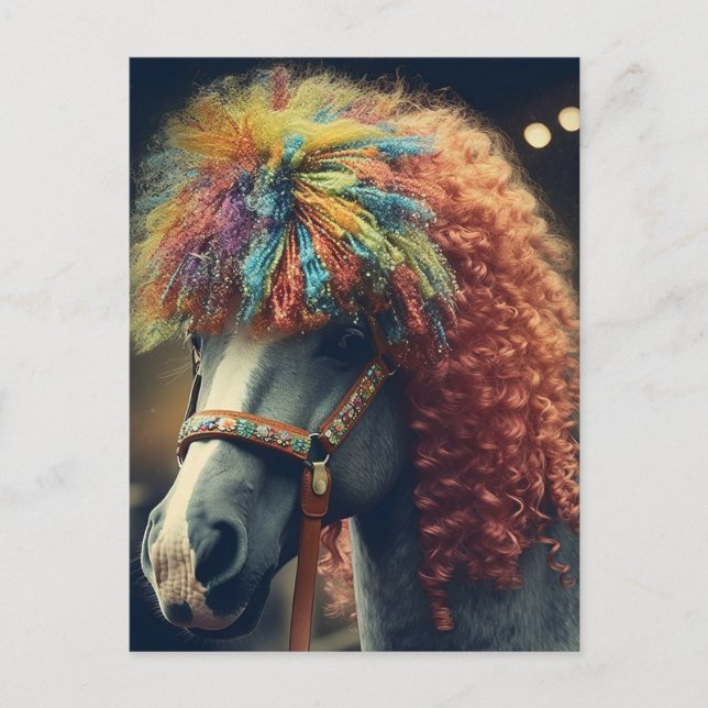 Pony With Clown Hair Postcard (Front)