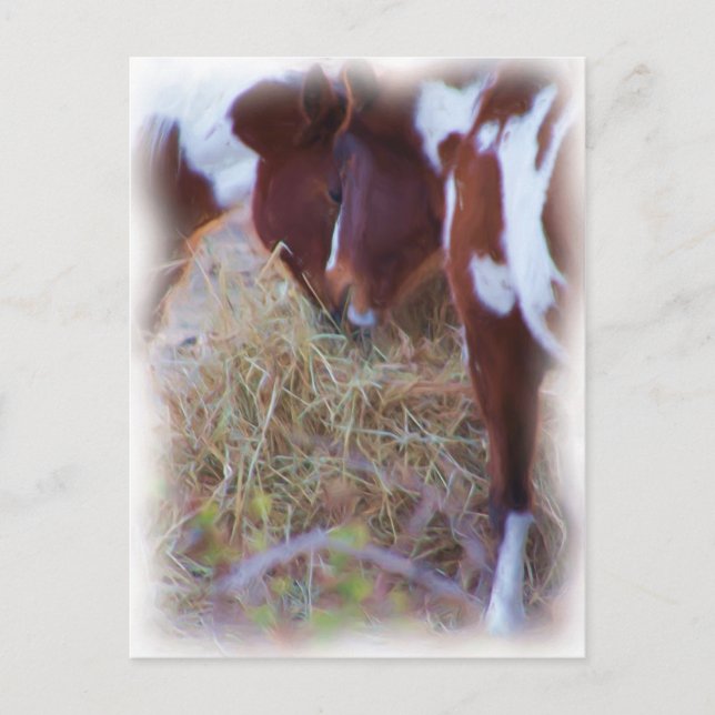 ponylove postcard (Front)