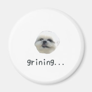 PONZU magnet