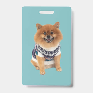Poochie Dog Sweater | ID Badge