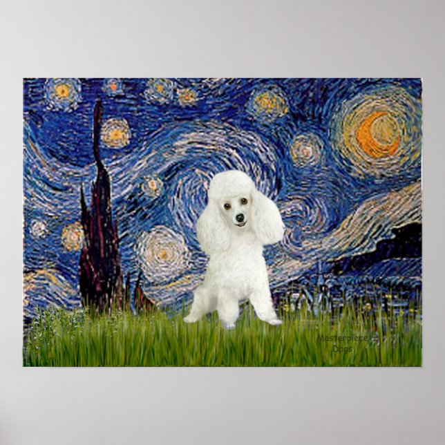 Poodle (14W) - Starry Night Poster (Front)