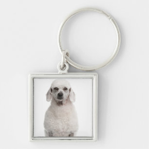 Poodle (1 year old) key ring