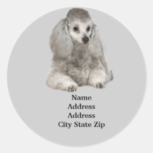 Poodle Address Label