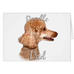 Poodle (apricot) Dad 2