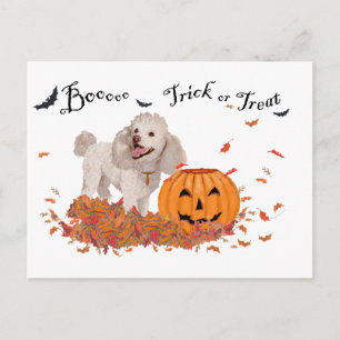 Poodle at Halloween Postcard