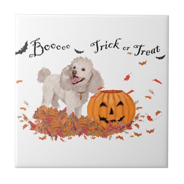 Poodle at Halloween Tile (Front)