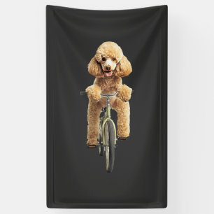 Poodle banner