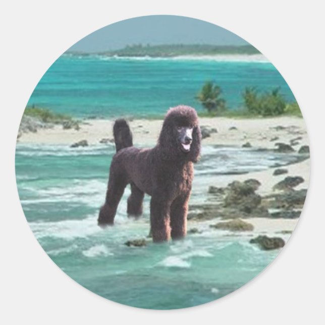 Poodle Beach Sticker (Front)