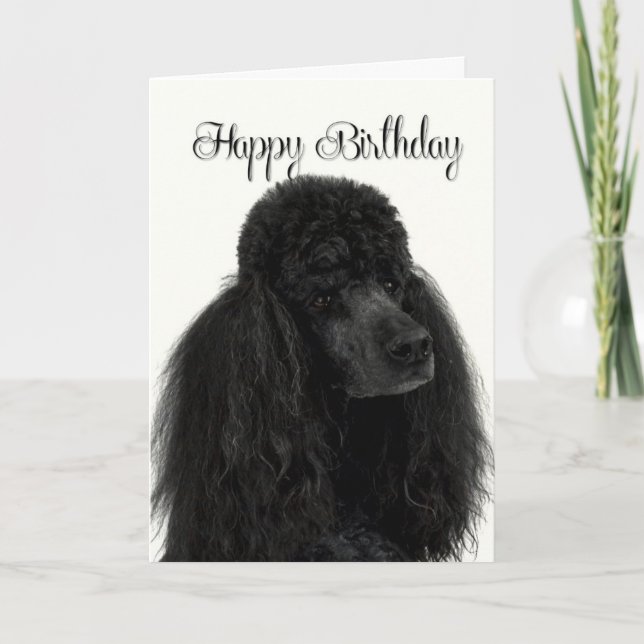 Poodle Birthday Card (Front)