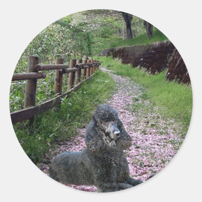 Poodle Black Sticker (Front)