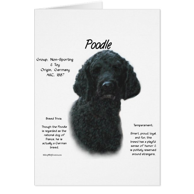 Poodle (blk) History Design (Front)