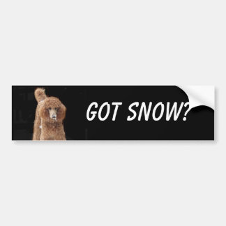 Poodle Bumper Sticker