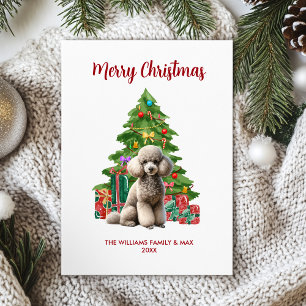 Poodle Christmas Card