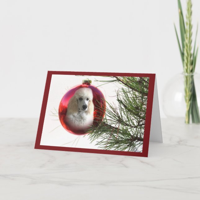 Poodle  Christmas Card Ornament (Front)