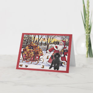 Poodle Christmas Card Santa Bears In Sleigh