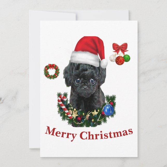 Poodle  Christmas  Invitation (Front)