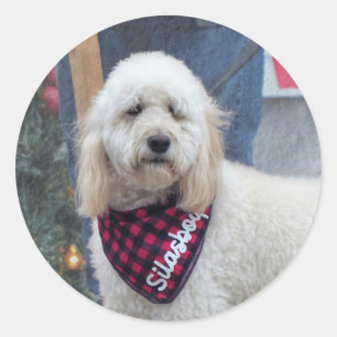 Poodle Classic Round Sticker