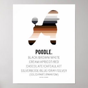 Poodle Colours Print by HUXSHOP