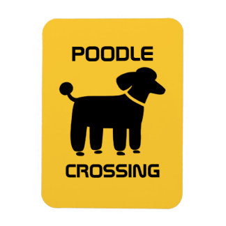 Poodle Crossing - Black on Yellow - Customisable Magnet