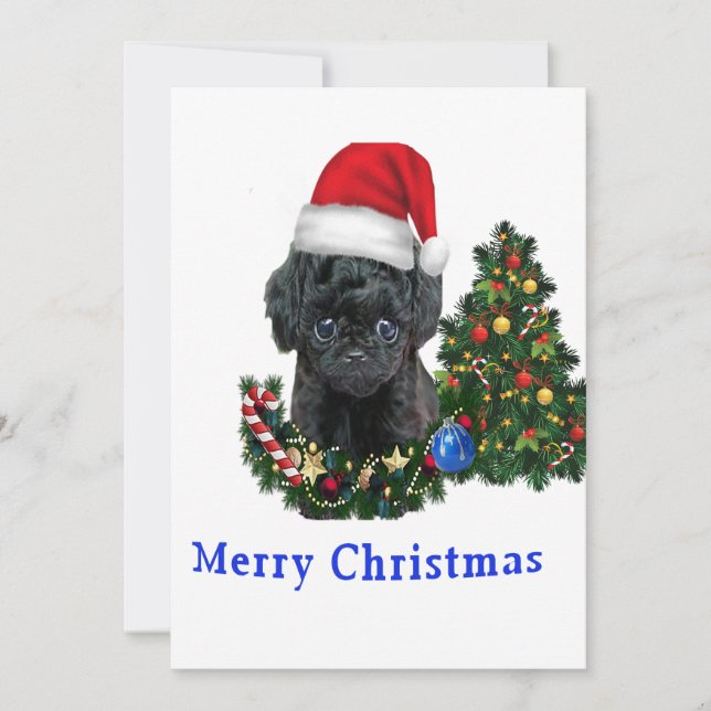 Poodle cute dog Christmas card (Front)