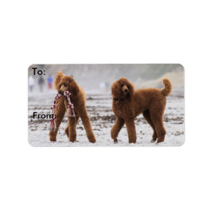 Poodle Day 2010 #10 Label