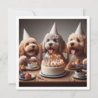 Poodle dog card,  Poodle birthday