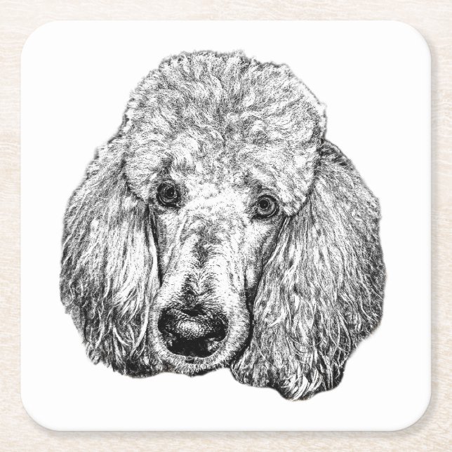 Poodle Dog Coaster – Black & White Face Art (Front)