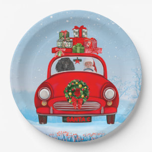 Poodle Dog In Car With Santa Claus Paper Plate