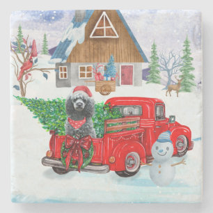 Poodle Dog In Christmas Delivery Truck Snow  Stone Coaster