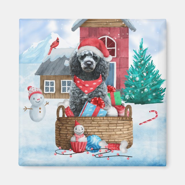 Poodle Dog In snow Christmas Dog House  Throw Pill Magnet (Front)