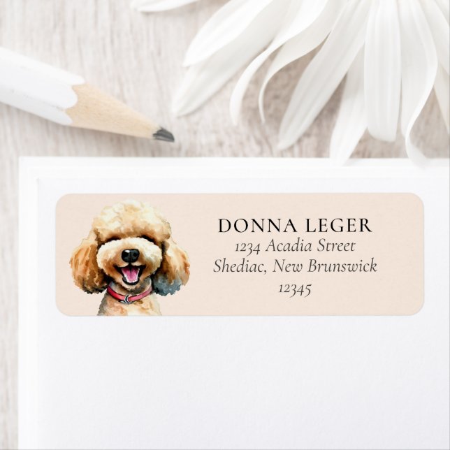 Poodle Dog Personalised Address (Insitu)
