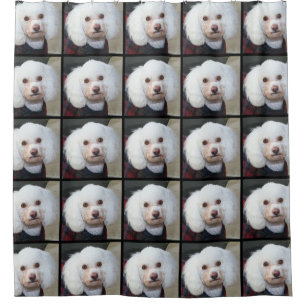 Poodle dog Shower Curtain